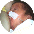 6e dag